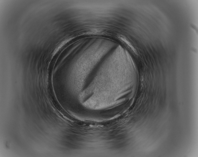 X0000091230484200708301519