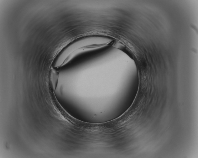 X0000091230485200708301519