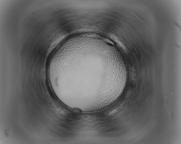 X0000091230486200708301519