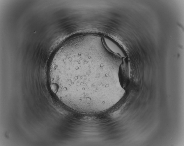 X0000091230487200708301519