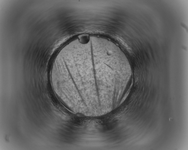X0000091230488200708301519