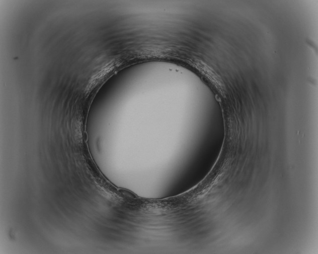 X0000091230489200708301519