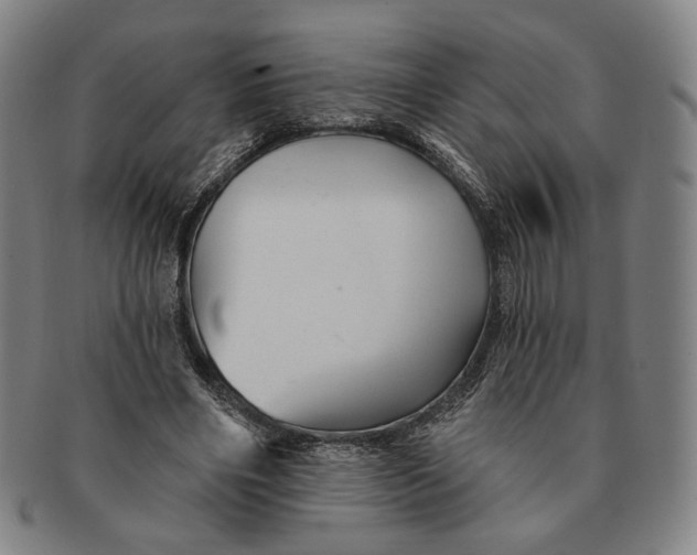X0000091230490200708301519