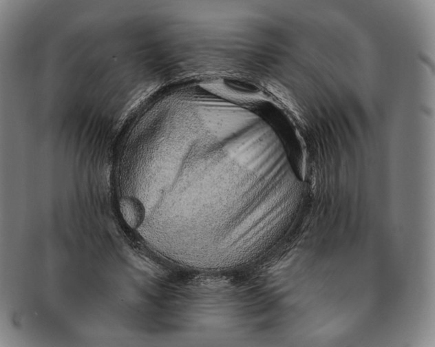 X0000091230491200708301519