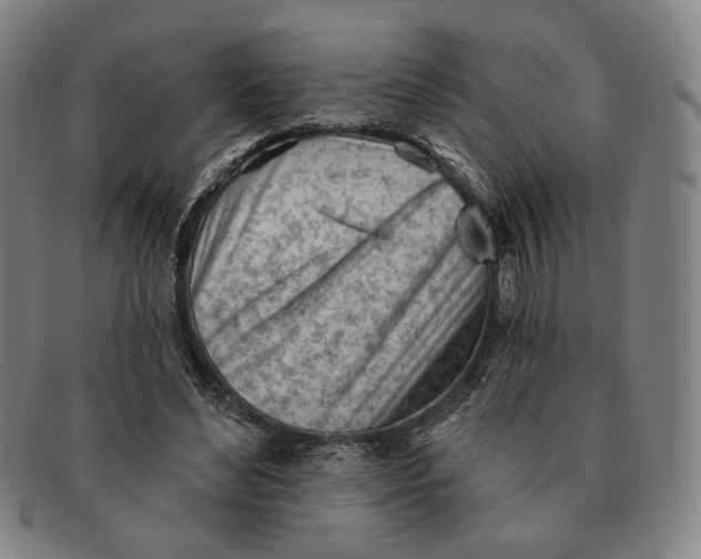 X0000091230492200708301519