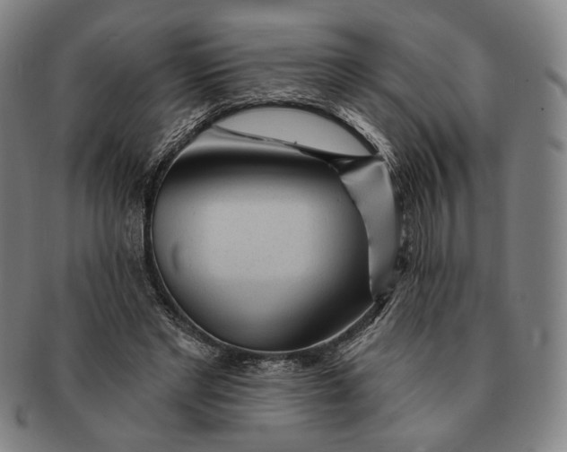 X0000091230493200708301519