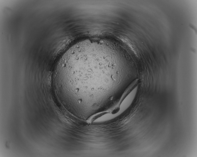X0000091230495200708301519