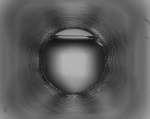 X0000091230497200708301519