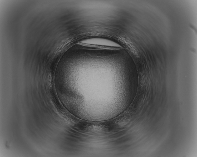 X0000091230498200708301519