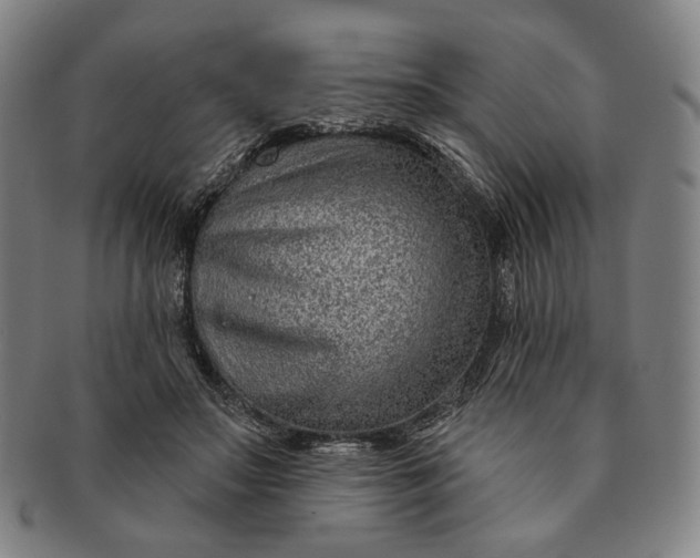 X0000091230499200708301519