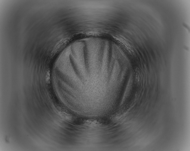 X0000091230502200708301519