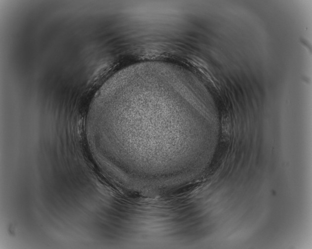 X0000091230503200708301519