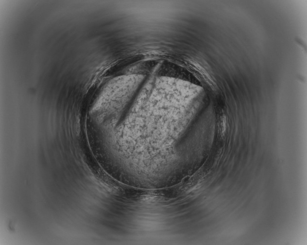 X0000091230504200708301519