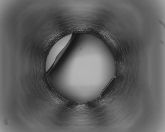 X0000091230505200708301519