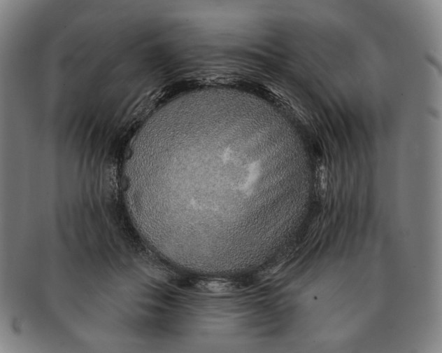 X0000091230506200708301519