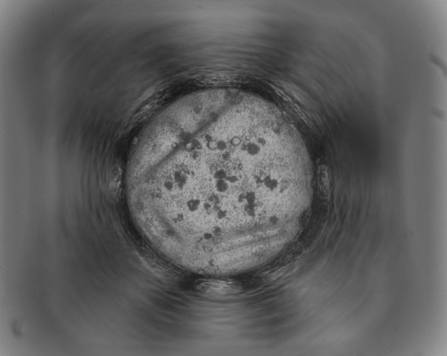 X0000091230507200708301519