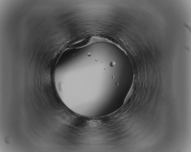 X0000091230508200708301519