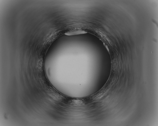 X0000091230509200708301519