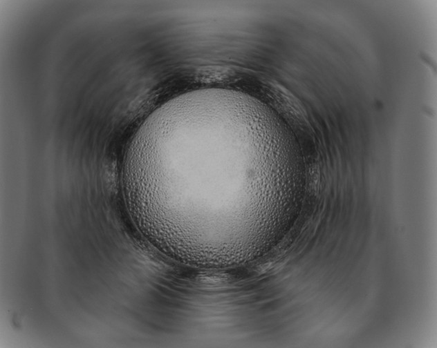 X0000091230510200708301519