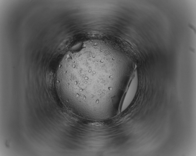 X0000091230511200708301519