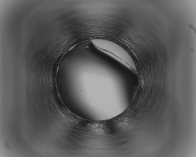 X0000091230512200708301519