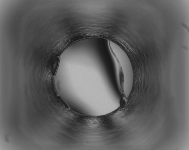 X0000091230513200708301519