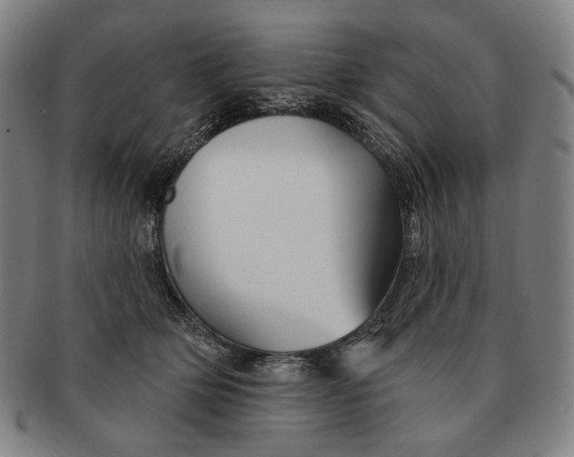 X0000091230514200708301519