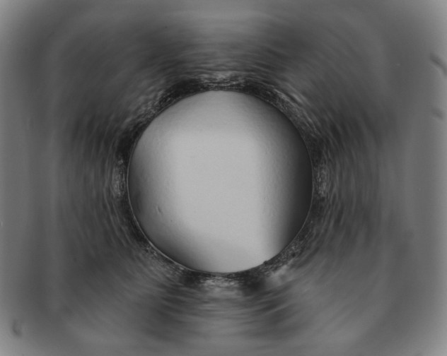 X0000091230515200708301519