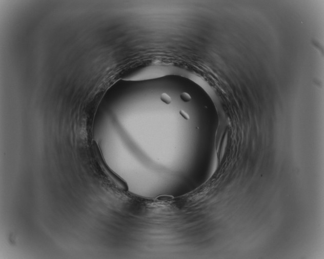 X0000091230516200708301519