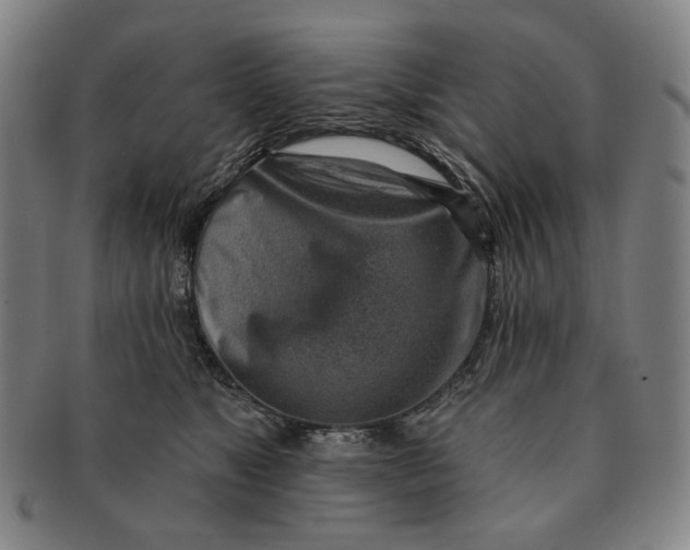 X0000091230517200708301519