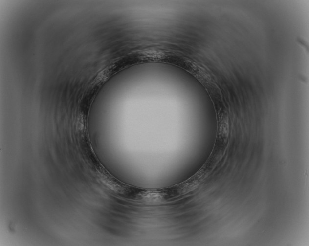 X0000091230518200708301519