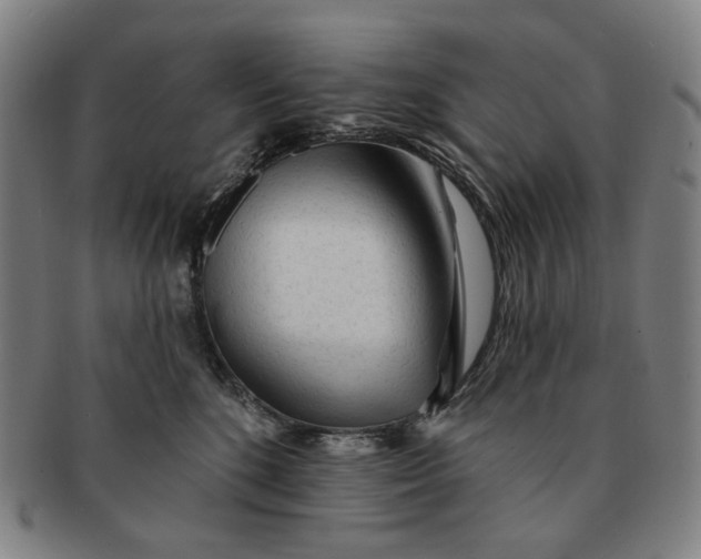 X0000091230520200708301519