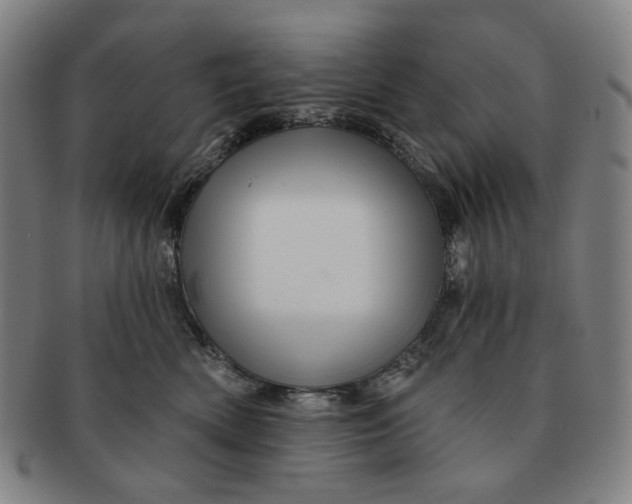 X0000091230522200708301519