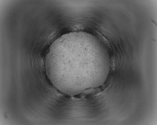 X0000091230523200708301519