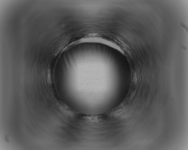 X0000091230524200708301519