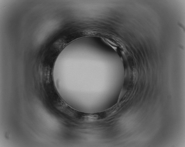 X0000091230525200708301519