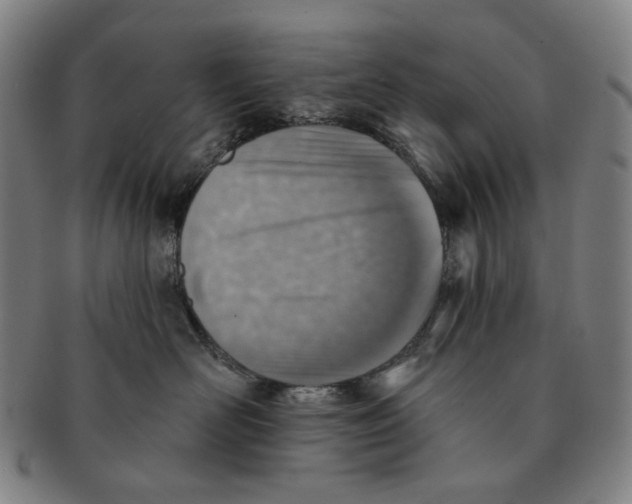 X0000091230526200708301518
