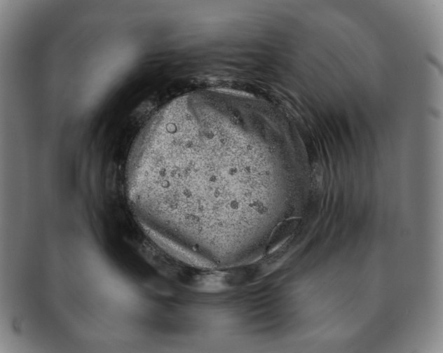 X0000091230527200708301518