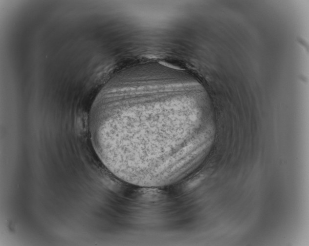 X0000091230528200708301518