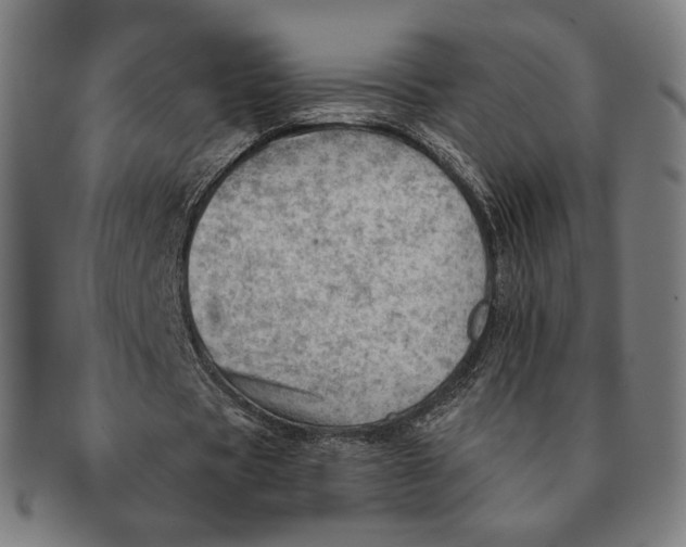 X0000091230529200708301518