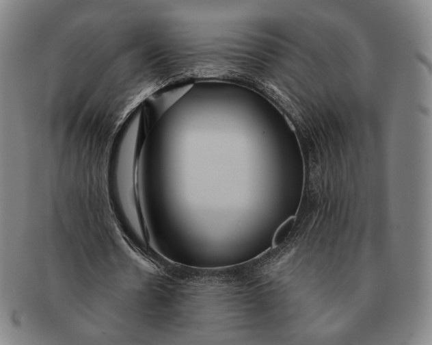 X0000091230530200708301518
