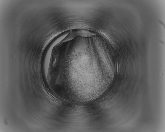 X0000091230531200708301518