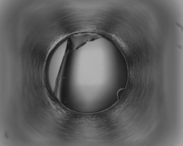 X0000091230532200708301518
