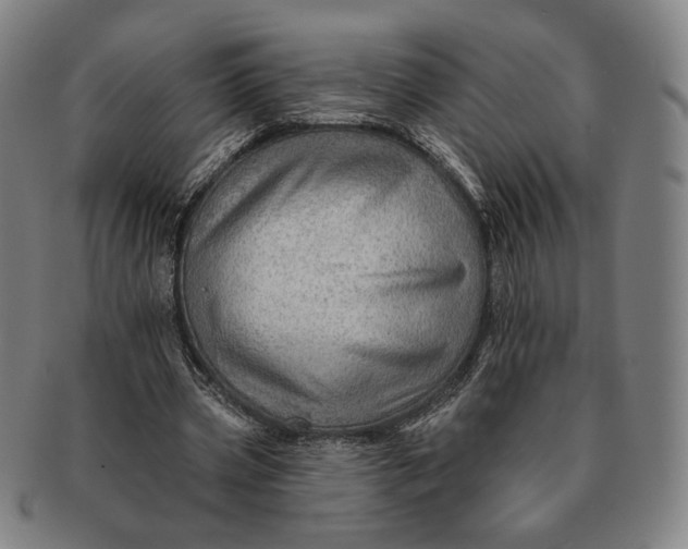 X0000091230533200708301518