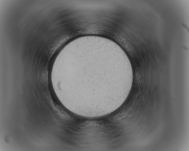 X0000091230534200708301518