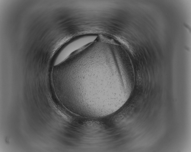 X0000091230535200708301518