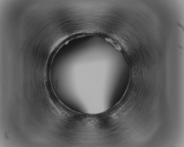 X0000091230536200708301518