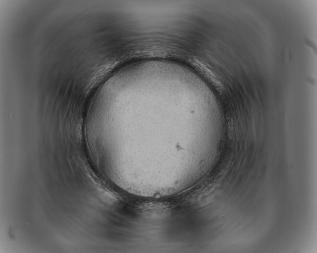 X0000091230537200708301518