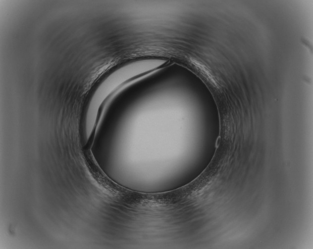 X0000091230538200708301518