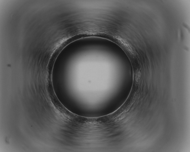 X0000091230540200708301518